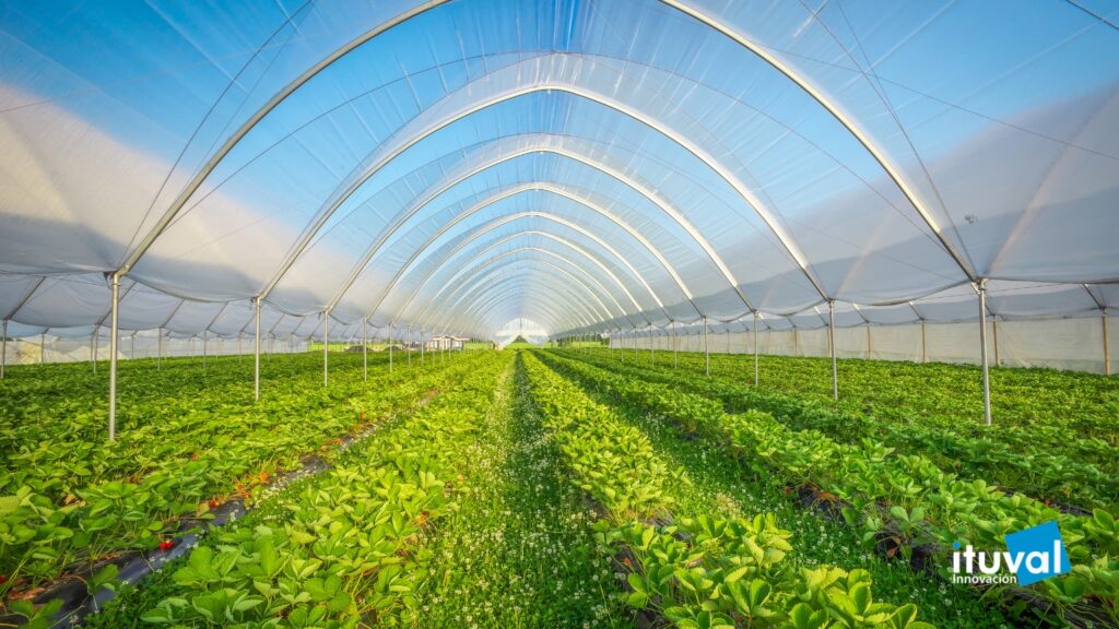 Soluciones ECA para un cultivo más saludable