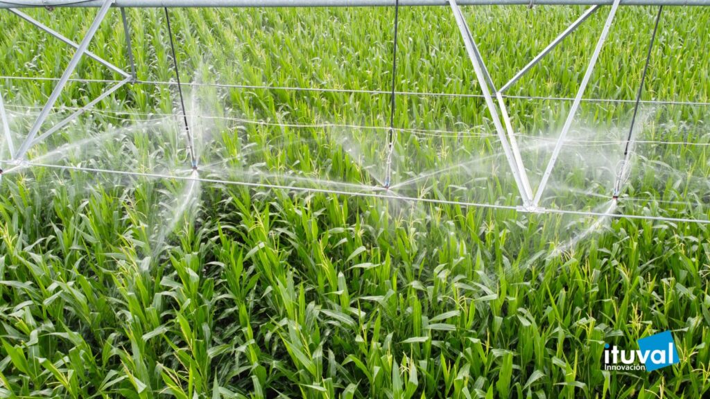 Mejora la Calidad del Agua