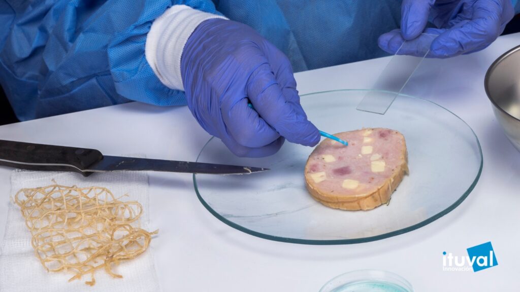 Listeria monocytogenes