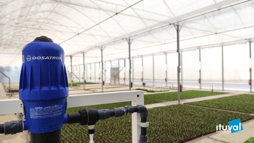 Sostenibilidad y Reducción de Químicos