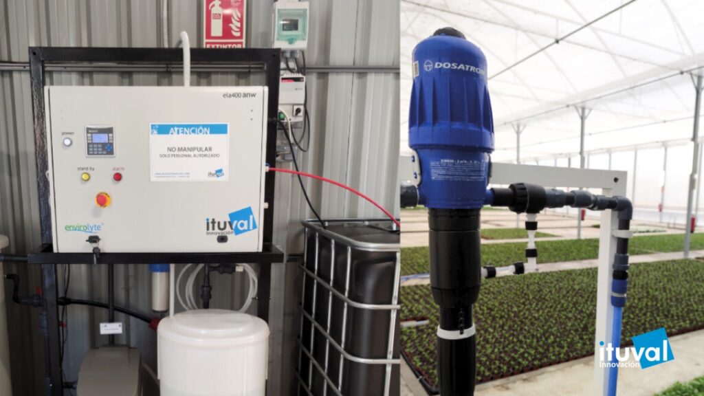 Rentabilidad a Largo Plazo